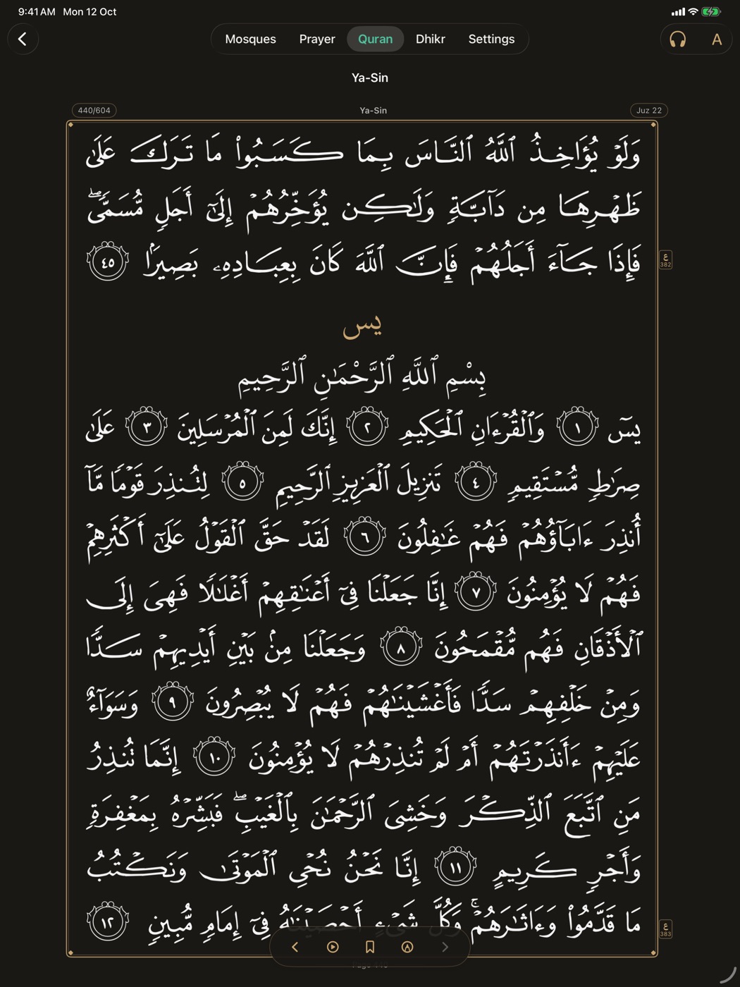 Quran – iPad