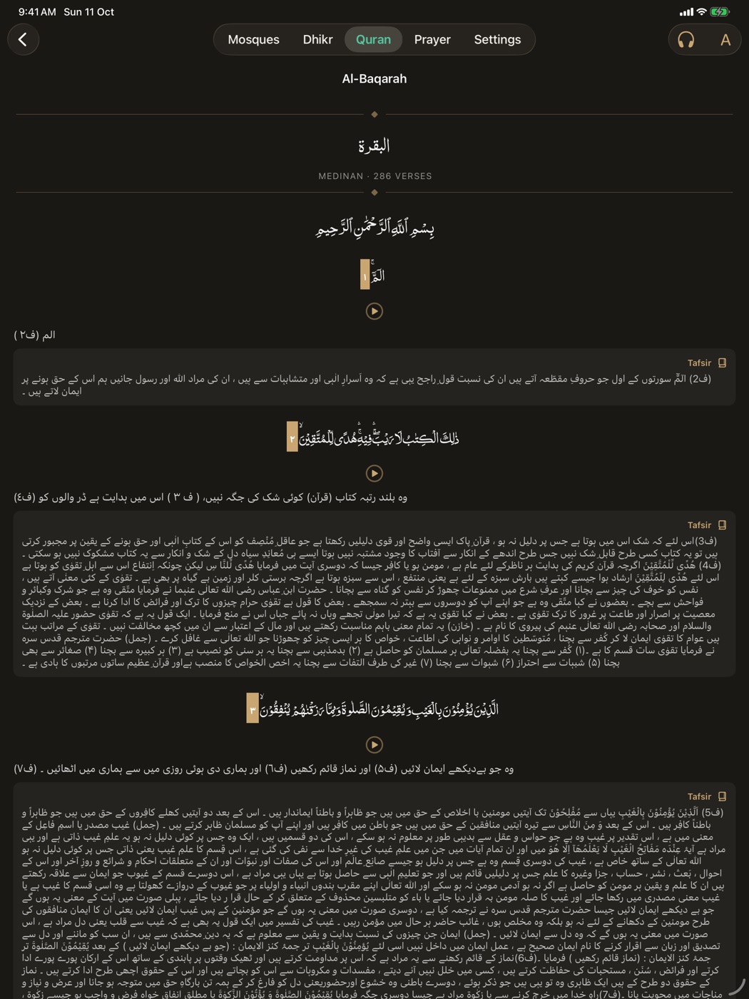Translation & tafsir – iPad